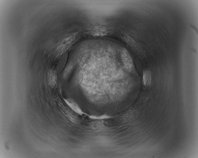 X0000100901444200807220940