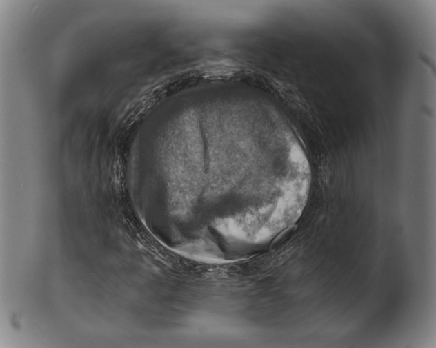 X0000100901445200807220940