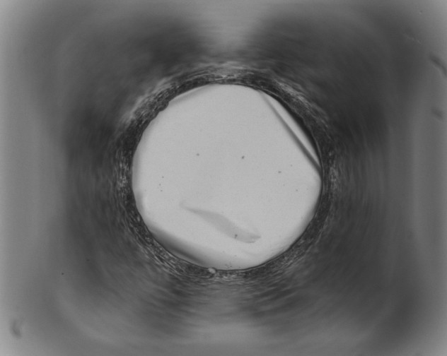 X0000100901447200807220940