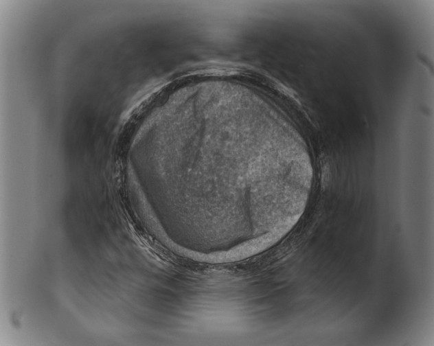 X0000100901448200807220940