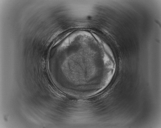 X0000100901449200807220940