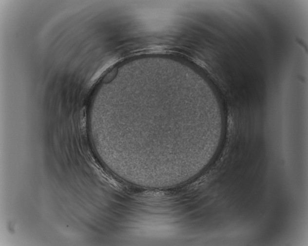 X0000100901450200807220940