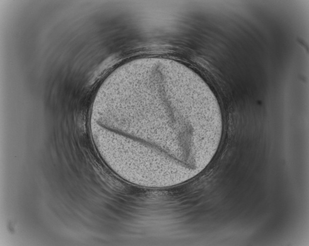 X0000100901451200807220940