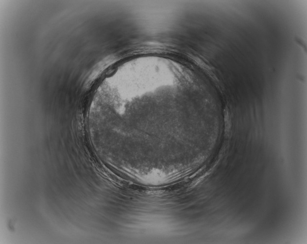 X0000100901453200807220940