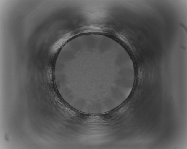 X0000100901455200807220940