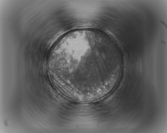 X0000100901457200807220940