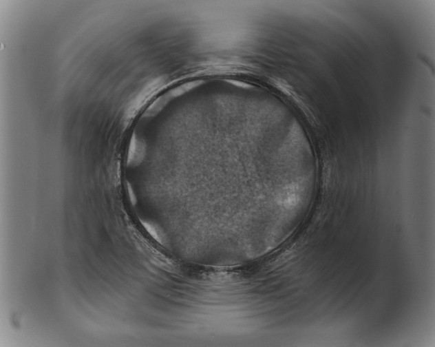 X0000100901459200807220940