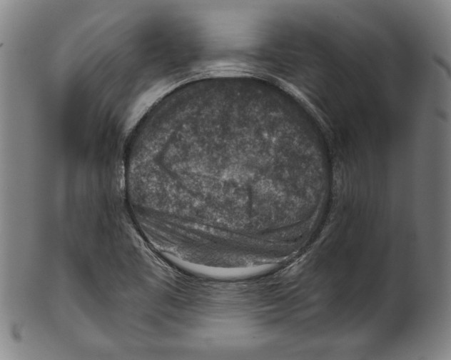 X0000100901461200807220940