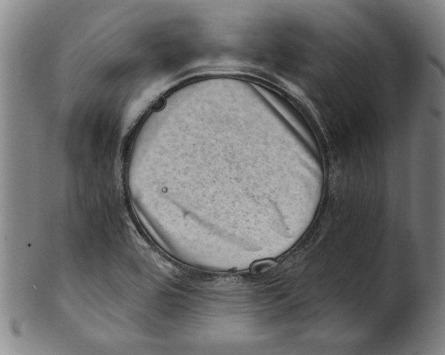 X0000100901464200807220940