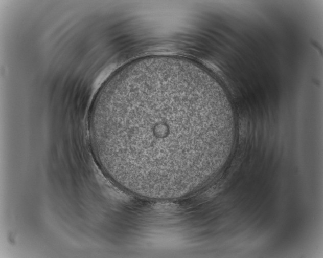 X0000100901466200807220940