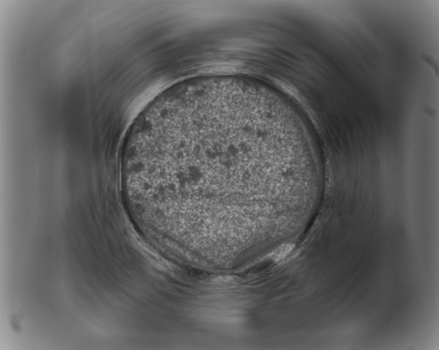 X0000100901467200807220940