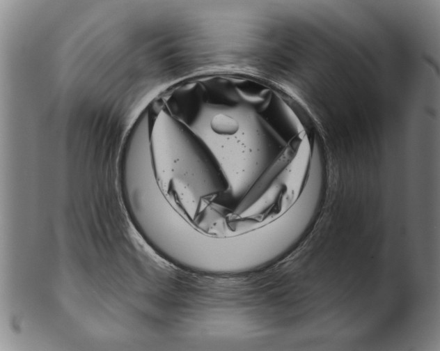 X0000100901468200807220940