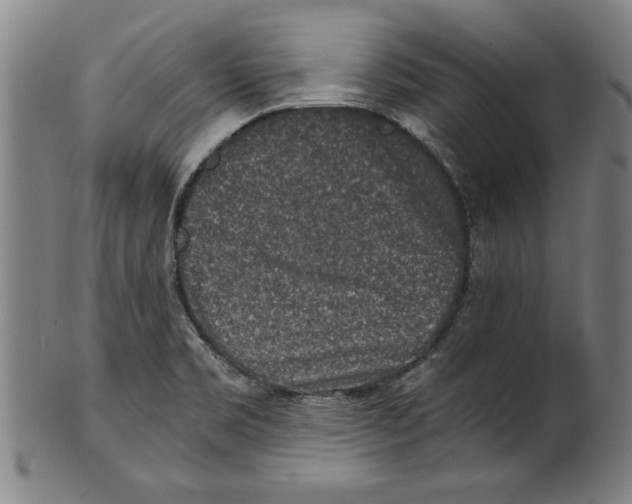 X0000100901469200807220940