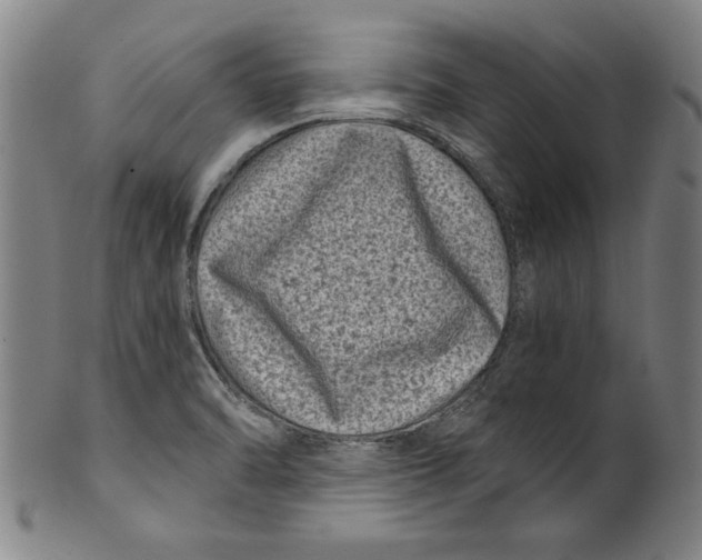 X0000100901470200807220940