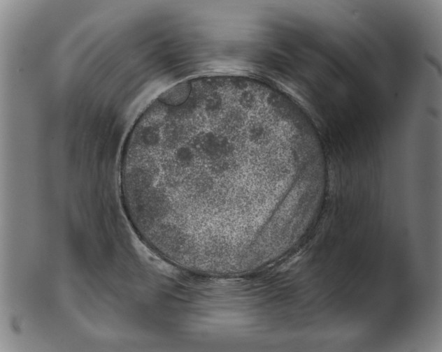 X0000100901471200807220940