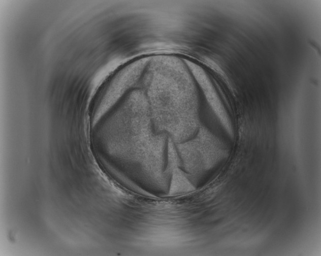 X0000100901472200807220940