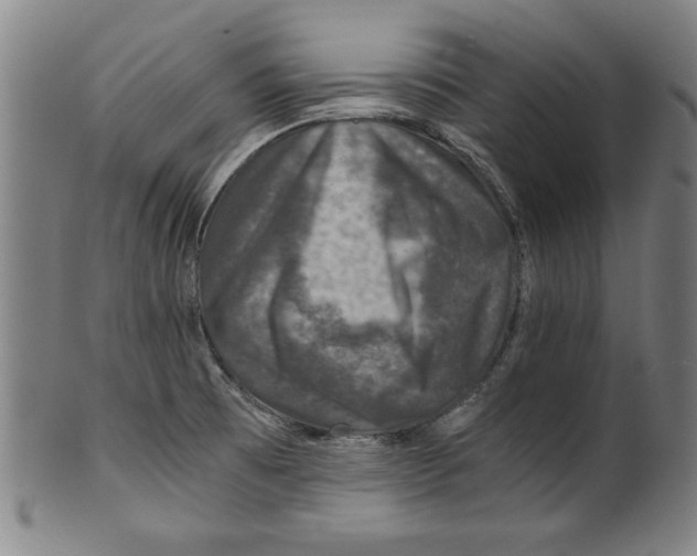 X0000100901473200807220940