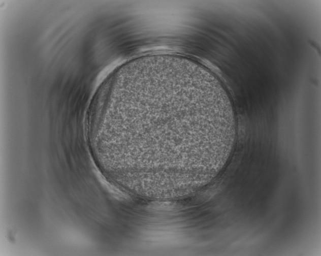 X0000100901474200807220940