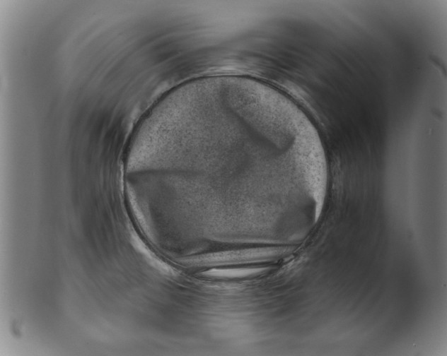 X0000100901476200807220940