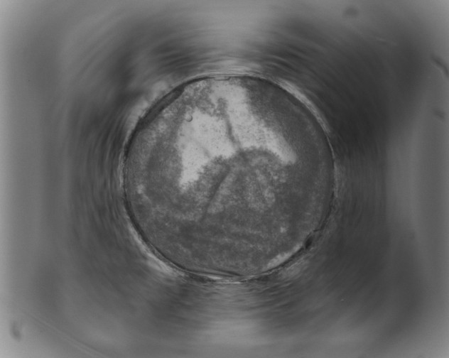 X0000100901477200807220940