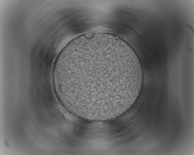 X0000100901478200807220940