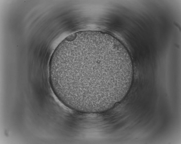 X0000100901479200807220940