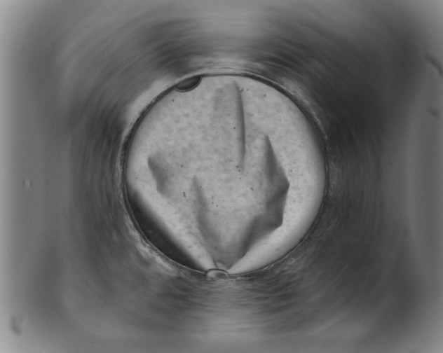 X0000100901480200807220940