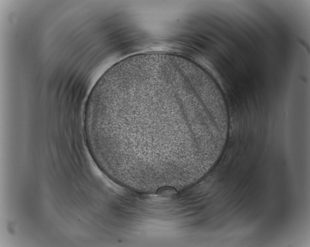 X0000100901483200807220940