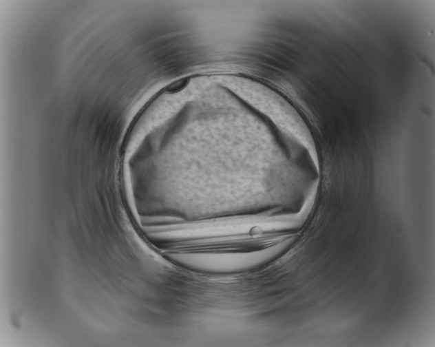 X0000100901484200807220940