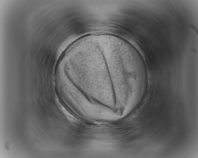 X0000100901485200807220939