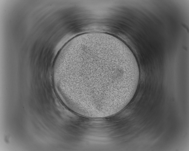 X0000100901486200807220939