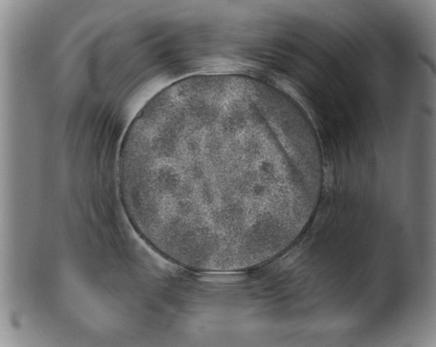 X0000100901487200807220939