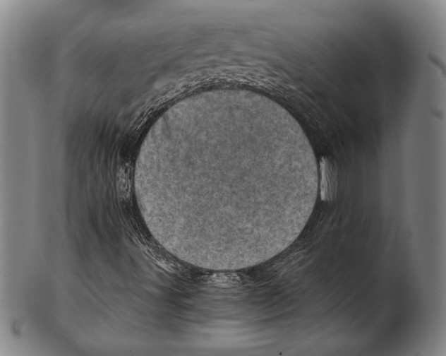 X0000100901491200807220939