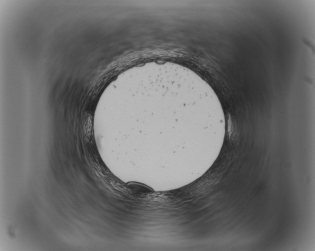 X0000100901492200807220939