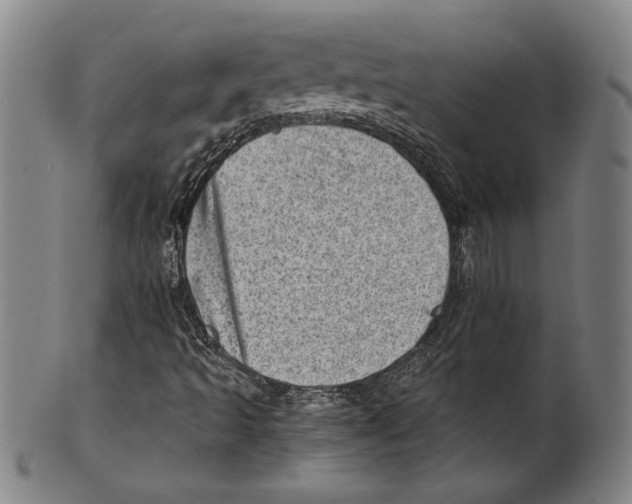 X0000100901493200807220939