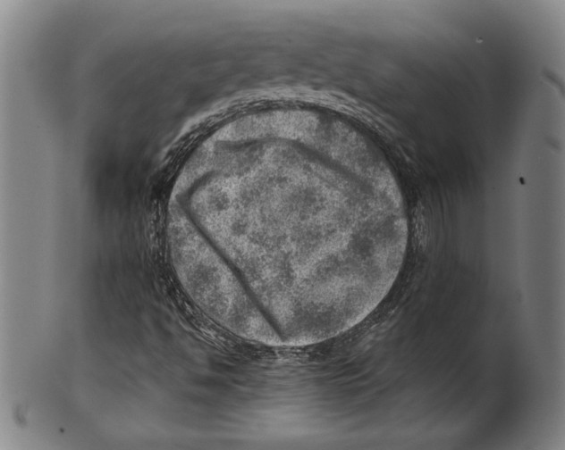 X0000100901494200807220939