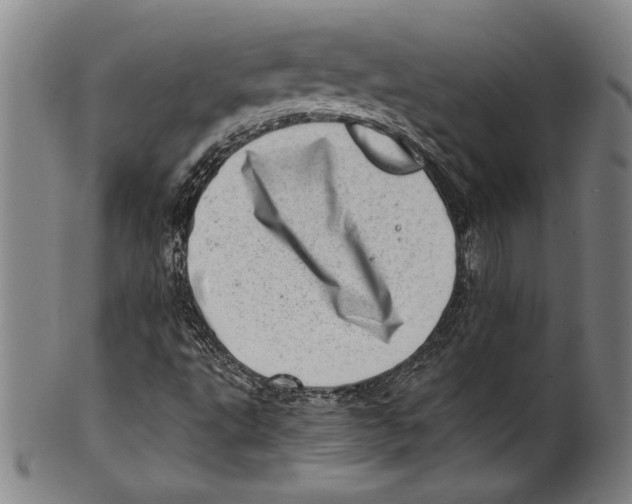 X0000100901495200807220939