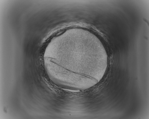 X0000100901496200807220939