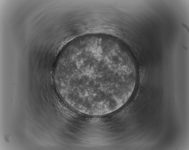 X0000100901497200807220939