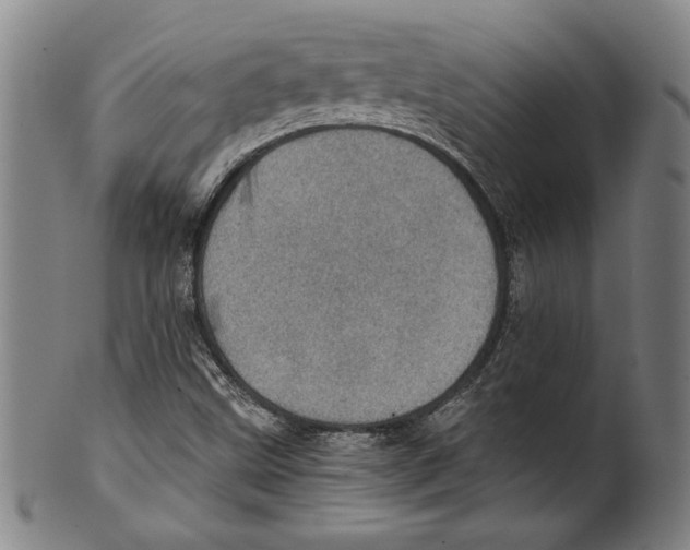 X0000100901499200807220939