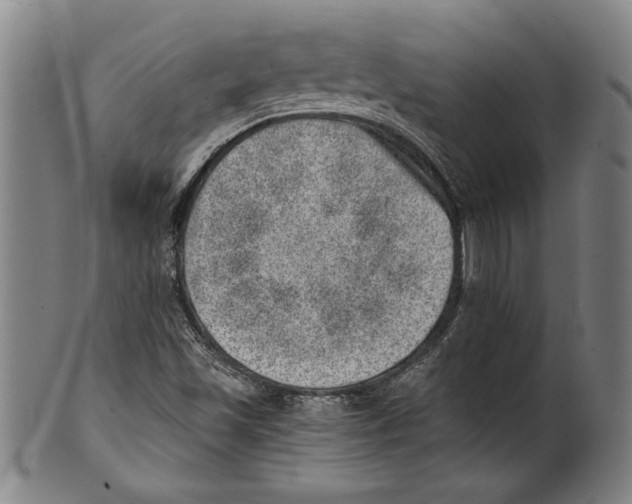 X0000100901501200807220939