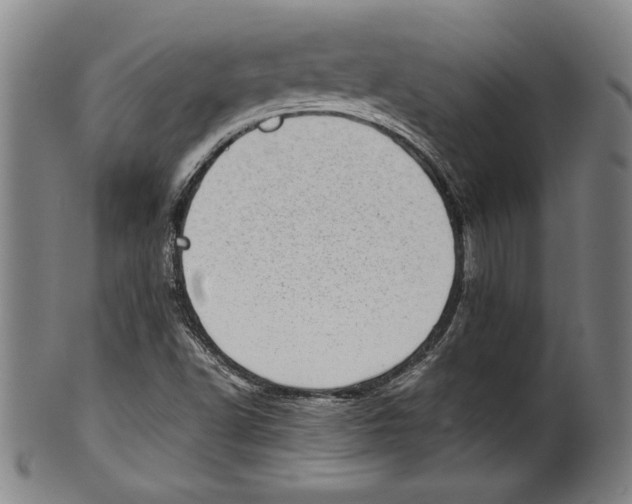 X0000100901502200807220939