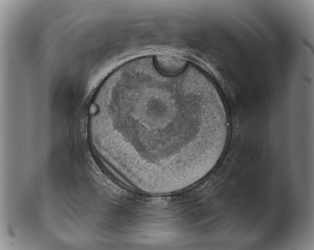 X0000100901504200807220939