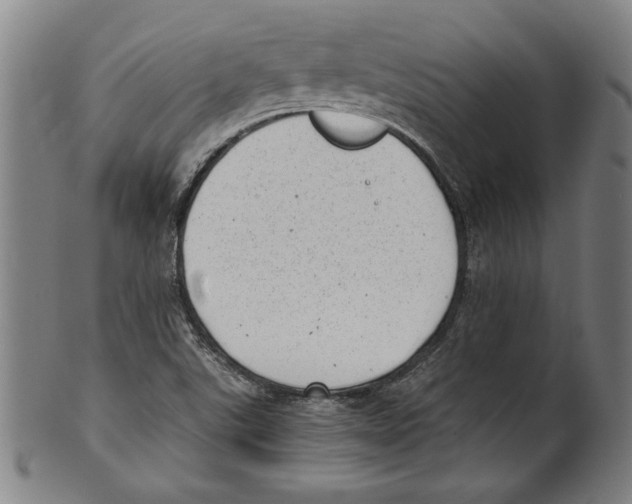 X0000100901507200807220939