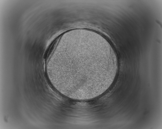 X0000100901509200807220939