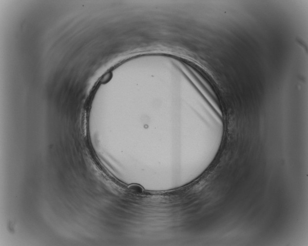 X0000100901510200807220939