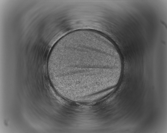 X0000100901513200807220939