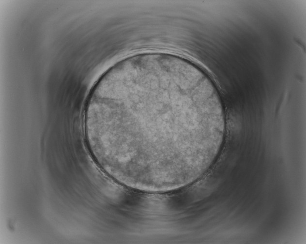 X0000100901514200807220939