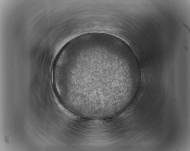 X0000100901515200807220939