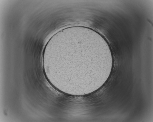 X0000100901516200807220939